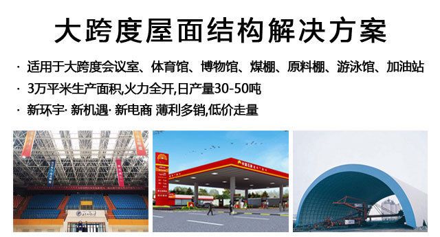 煤棚網(wǎng)架生產(chǎn)廠家價(jià)格 鋼結(jié)構(gòu)網(wǎng)架設(shè)計(jì) 第1張 煤棚網(wǎng)架生產(chǎn)廠家價(jià)格 鋼結(jié)構(gòu)網(wǎng)架設(shè)計(jì) 第1張