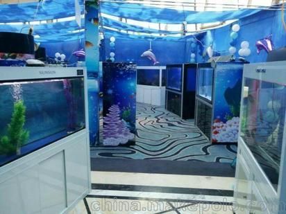 專業(yè)搬魚缸的如何收費(專業(yè)搬魚缸收費標準) 建筑施工圖設計 第1張 專業(yè)搬魚缸的如何收費(專業(yè)搬魚缸收費標準) 建筑施工圖設計 第1張