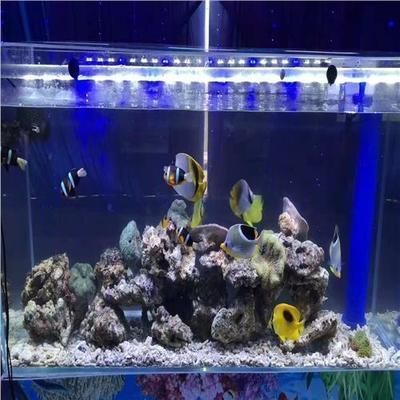 專業(yè)搬魚缸的如何收費(專業(yè)搬魚缸收費標準) 建筑施工圖設計 第3張 專業(yè)搬魚缸的如何收費(專業(yè)搬魚缸收費標準) 建筑施工圖設計 第3張