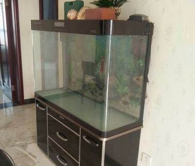 專業(yè)搬魚缸的如何收費(專業(yè)搬魚缸收費標準) 建筑施工圖設計 第4張 專業(yè)搬魚缸的如何收費(專業(yè)搬魚缸收費標準) 建筑施工圖設計 第4張