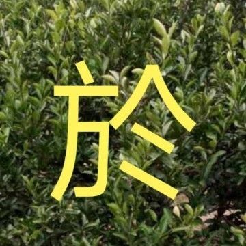 詳細(xì)閱讀:新手學(xué)看鋼結(jié)構(gòu)圖紙的最快方法(鋼結(jié)構(gòu)圖紙顯示) 新手學(xué)看鋼結(jié)構(gòu)圖紙的最快方法(鋼結(jié)構(gòu)圖紙顯示)