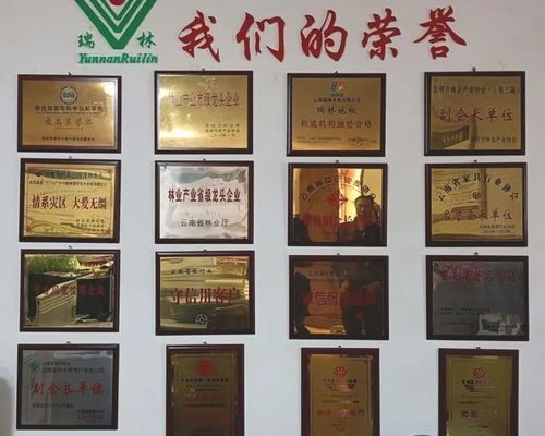 坤瑞集團(tuán)董事長(zhǎng)背景 結(jié)構(gòu)工業(yè)鋼結(jié)構(gòu)施工 第1張 坤瑞集團(tuán)董事長(zhǎng)背景 結(jié)構(gòu)工業(yè)鋼結(jié)構(gòu)施工 第1張