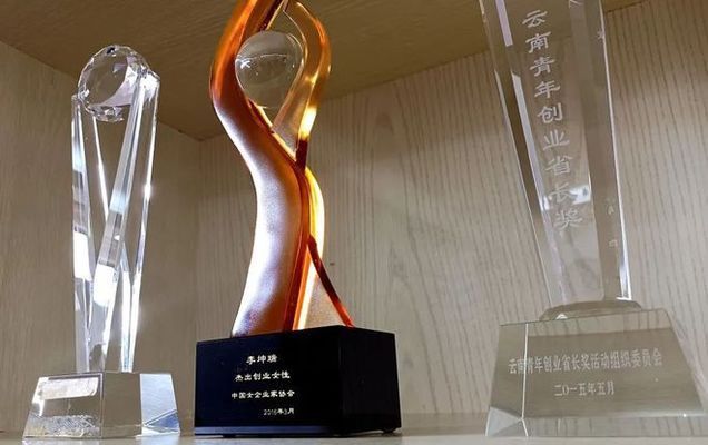 坤瑞集團(tuán)董事長(zhǎng)背景 結(jié)構(gòu)工業(yè)鋼結(jié)構(gòu)施工 第5張 坤瑞集團(tuán)董事長(zhǎng)背景 結(jié)構(gòu)工業(yè)鋼結(jié)構(gòu)施工 第5張