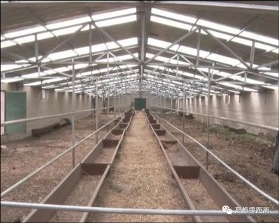 鋼結構掙錢么(鋼結構市場競爭激烈程度對利潤影響程度對利潤影響較大) 鋼結構門式鋼架施工 第1張 鋼結構掙錢么(鋼結構市場競爭激烈程度對利潤影響程度對利潤影響較大) 鋼結構門式鋼架施工 第1張