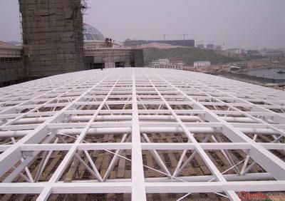 網(wǎng)架結(jié)構(gòu)常用的材料是哪兩種鋼 鋼結(jié)構(gòu)異形設(shè)計(jì) 第1張