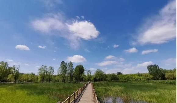 桁架展區(qū)中醫(yī) 建筑效果圖設(shè)計 第1張 桁架展區(qū)中醫(yī) 建筑效果圖設(shè)計 第1張