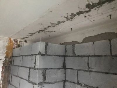 磚混的承重墻可以敲一半嗎圖片大全 鋼結(jié)構(gòu)網(wǎng)架設(shè)計(jì) 第2張 磚混的承重墻可以敲一半嗎圖片大全 鋼結(jié)構(gòu)網(wǎng)架設(shè)計(jì) 第2張