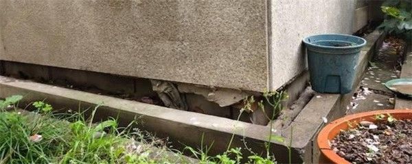 地基下沉現(xiàn)象有哪些(地基下沉修復(fù)方法) 裝飾幕墻施工 第4張 地基下沉現(xiàn)象有哪些(地基下沉修復(fù)方法) 裝飾幕墻施工 第4張