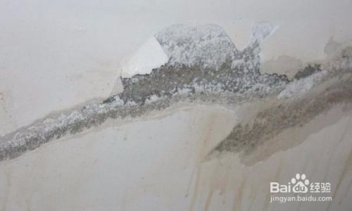 外墻裂縫滲水怎么處理最好(處理外墻裂縫滲水問題可以采取多種方法處理外墻裂縫滲水問題) 結(jié)構(gòu)污水處理池施工 第4張 外墻裂縫滲水怎么處理最好(處理外墻裂縫滲水問題可以采取多種方法處理外墻裂縫滲水問題) 結(jié)構(gòu)污水處理池施工 第4張