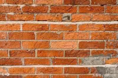 膜結(jié)構(gòu)公司名稱大全（膜結(jié)構(gòu)公司如何保證其工程質(zhì)量？） 北京鋼結(jié)構(gòu)設(shè)計問答