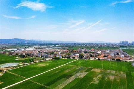 農(nóng)村自建房下沉一勞永逸的解決辦法 結(jié)構(gòu)工業(yè)鋼結(jié)構(gòu)設(shè)計(jì) 第5張 農(nóng)村自建房下沉一勞永逸的解決辦法 結(jié)構(gòu)工業(yè)鋼結(jié)構(gòu)設(shè)計(jì) 第5張