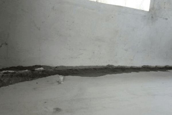 室內(nèi)小型花卉大全圖片（室內(nèi)小型花卉大全中哪些植物適合放在臥室里放在臥室）