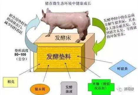 鋼結構這門課的收獲（鋼結構的極限狀態(tài)） 鋼結構框架施工 第2張