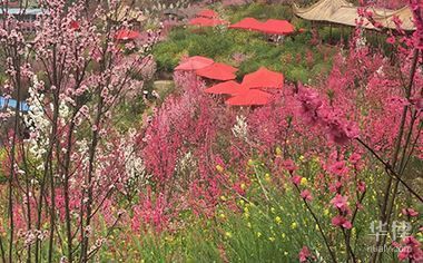 樓房改造需要找什么單位審批（土地管理部門：樓房改造需要找哪些部門審批，需要注意的是） 裝飾工裝設(shè)計(jì) 第3張