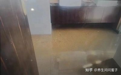 樓房修改下水管道怎么報(bào)備(在樓房中修改下水管道需要經(jīng)過(guò)哪些流程) 結(jié)構(gòu)機(jī)械鋼結(jié)構(gòu)施工 第3張 樓房修改下水管道怎么報(bào)備(在樓房中修改下水管道需要經(jīng)過(guò)哪些流程) 結(jié)構(gòu)機(jī)械鋼結(jié)構(gòu)施工 第3張