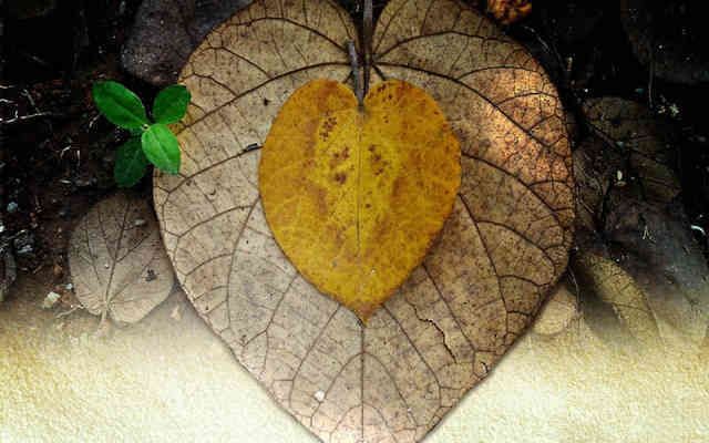 設(shè)計(jì)單位項(xiàng)目負(fù)責(zé)人資質(zhì)要求(建筑設(shè)計(jì)單位項(xiàng)目負(fù)責(zé)人的資質(zhì)要求包括以下幾個(gè)方面) 結(jié)構(gòu)地下室設(shè)計(jì) 第1張 設(shè)計(jì)單位項(xiàng)目負(fù)責(zé)人資質(zhì)要求(建筑設(shè)計(jì)單位項(xiàng)目負(fù)責(zé)人的資質(zhì)要求包括以下幾個(gè)方面) 結(jié)構(gòu)地下室設(shè)計(jì) 第1張