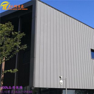 鋼結(jié)構(gòu)別墅屋面用什么型號的鋁鎂錳板 北京加固設(shè)計（加固設(shè)計公司） 第3張