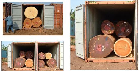 集裝箱固定用三角木(集裝箱固定用三角木主要用于確保集裝箱在運輸過程中的穩(wěn)定性和安全性) 裝飾家裝設計 第5張 集裝箱固定用三角木(集裝箱固定用三角木主要用于確保集裝箱在運輸過程中的穩(wěn)定性和安全性) 裝飾家裝設計 第5張