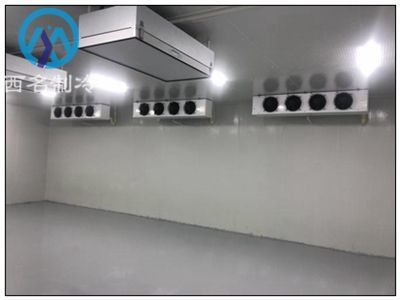 冷庫材料銷售價格 結(jié)構(gòu)砌體施工 第5張 冷庫材料銷售價格 結(jié)構(gòu)砌體施工 第5張