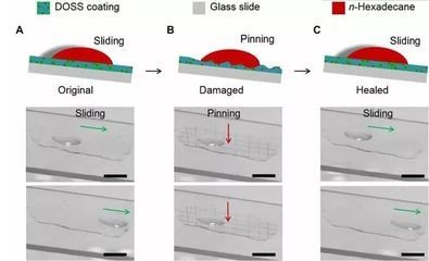 不同環(huán)境下鋼板耐久性對(duì)比 北京網(wǎng)架設(shè)計(jì) 第5張 不同環(huán)境下鋼板耐久性對(duì)比 北京網(wǎng)架設(shè)計(jì) 第5張