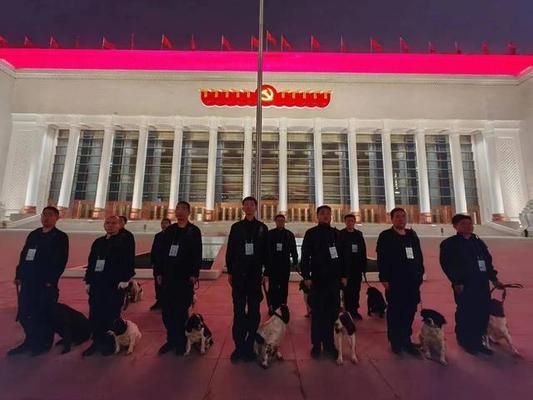 特殊建筑加固設(shè)計案例 結(jié)構(gòu)機(jī)械鋼結(jié)構(gòu)設(shè)計 第5張