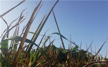 不同用途土地使用權(quán)年限對比 結(jié)構(gòu)污水處理池設(shè)計 第3張 不同用途土地使用權(quán)年限對比 結(jié)構(gòu)污水處理池設(shè)計 第3張