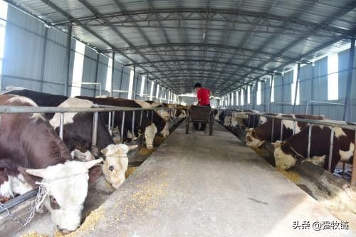 鋼結(jié)構(gòu)廠房的維護成本 鋼結(jié)構(gòu)桁架施工 第1張 鋼結(jié)構(gòu)廠房的維護成本 鋼結(jié)構(gòu)桁架施工 第1張