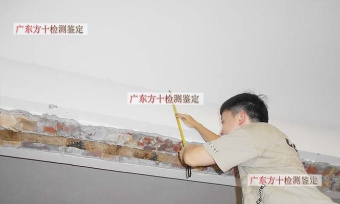 市政道路施工規(guī)范與驗收標(biāo)準(zhǔn)2020（市政道路施工規(guī)范與驗收標(biāo)準(zhǔn)2020中）