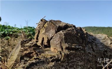 土地使用權(quán)攤銷年限如何確定？（土地使用權(quán)攤銷年限是多少土地使用權(quán)的攤銷年限是多少） 鋼結(jié)構(gòu)網(wǎng)架施工 第5張