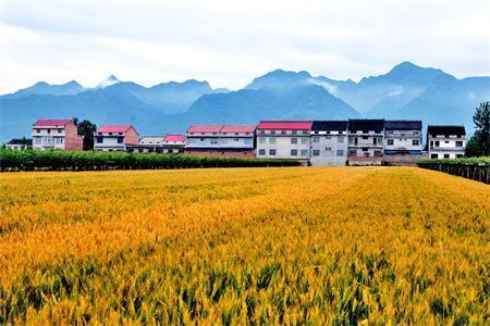 別墅加層罰款處理后算違建嗎(別墅加層是否屬于違建) 結(jié)構(gòu)機(jī)械鋼結(jié)構(gòu)設(shè)計(jì) 第4張 別墅加層罰款處理后算違建嗎(別墅加層是否屬于違建) 結(jié)構(gòu)機(jī)械鋼結(jié)構(gòu)設(shè)計(jì) 第4張