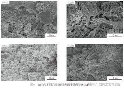 不同材質(zhì)表面處理的最佳實(shí)踐 結(jié)構(gòu)機(jī)械鋼結(jié)構(gòu)施工 第3張 不同材質(zhì)表面處理的最佳實(shí)踐 結(jié)構(gòu)機(jī)械鋼結(jié)構(gòu)施工 第3張