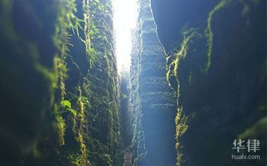 分包單位保險(xiǎn)情況審查要點(diǎn) 結(jié)構(gòu)機(jī)械鋼結(jié)構(gòu)施工 第2張 分包單位保險(xiǎn)情況審查要點(diǎn) 結(jié)構(gòu)機(jī)械鋼結(jié)構(gòu)施工 第2張