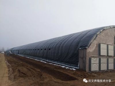 加固與新建的成本對(duì)比 北京加固施工 第3張