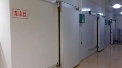 市政園林綠化工程項(xiàng)目劃分（市政園林綠化工程在設(shè)計(jì)時(shí)需要考慮哪些因素？）