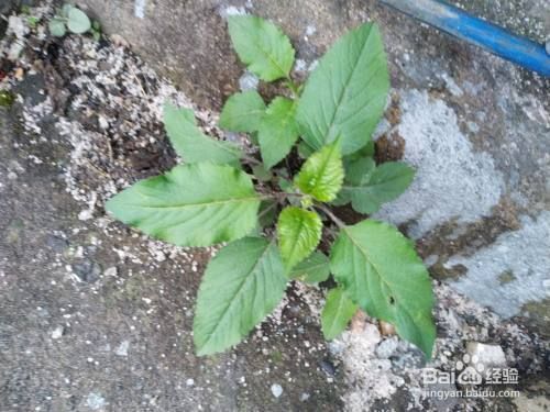 廠房內(nèi)外空間一體化設(shè)計思路（室內(nèi)外空間一體化的設(shè)計理念）