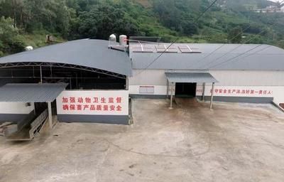 廠房布局優(yōu)化案例分析 北京鋼結(jié)構(gòu)設(shè)計(jì) 第4張