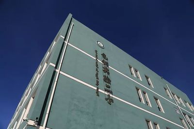 包鋼加固施工難度評(píng)估 結(jié)構(gòu)工業(yè)鋼結(jié)構(gòu)施工 第1張