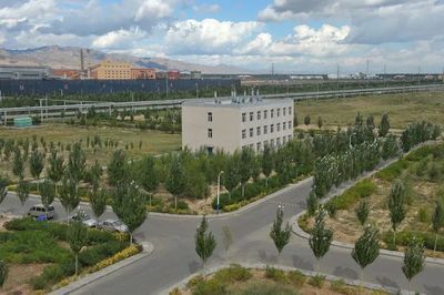 包鋼特鋼分公司招聘條件（包鋼(集團)公司2024年新員工招聘公告）