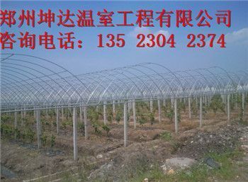 坤達造價咨詢公司電話地址（坤達造價咨詢公司電話地址信息）