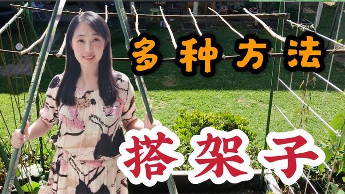 室內(nèi)搭架子方法視頻（室內(nèi)吊頂安裝架子方法） 結(jié)構(gòu)砌體施工 第2張