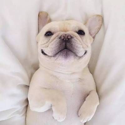 屋面加層怎么好打理(屋面排水系統(tǒng)安裝注意事項(xiàng)) 鋼結(jié)構(gòu)異形設(shè)計(jì) 第3張 屋面加層怎么好打理(屋面排水系統(tǒng)安裝注意事項(xiàng)) 鋼結(jié)構(gòu)異形設(shè)計(jì) 第3張