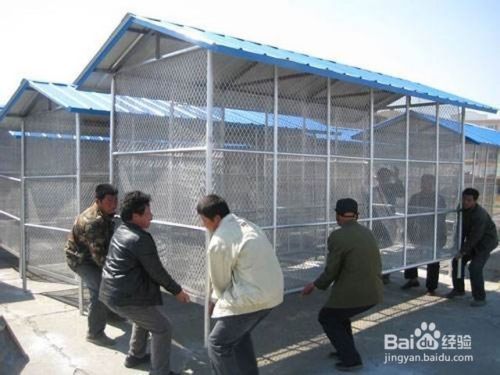 彩鋼瓦房框架圖（彩鋼瓦房框架圖施工步驟） 北京鋼結(jié)構(gòu)設(shè)計(jì) 第3張