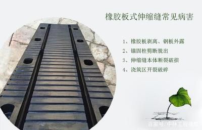 連廊防護(hù)網(wǎng)連工帶料多少錢一平米啊圖片（連廊防護(hù)網(wǎng)安裝費(fèi)用是多少？）