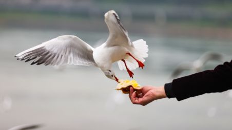 樓棟改造由誰表決決定（樓棟改造的表決決定過程） 鋼結(jié)構(gòu)網(wǎng)架施工 第5張