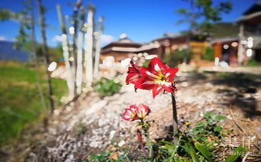房屋改造賠償標(biāo)準(zhǔn)文件(房屋改造賠償標(biāo)準(zhǔn)) 北京加固設(shè)計(jì)(加固設(shè)計(jì)公司) 第4張 房屋改造賠償標(biāo)準(zhǔn)文件(房屋改造賠償標(biāo)準(zhǔn)) 北京加固設(shè)計(jì)(加固設(shè)計(jì)公司) 第4張