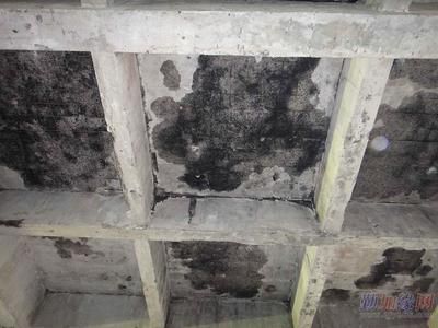 碳纖維加固技術(shù)最新進展(碳纖維加固工程常見問題介紹碳纖維加固工程常見問題) 鋼結(jié)構(gòu)玻璃棧道施工 第3張 碳纖維加固技術(shù)最新進展(碳纖維加固工程常見問題介紹碳纖維加固工程常見問題) 鋼結(jié)構(gòu)玻璃棧道施工 第3張