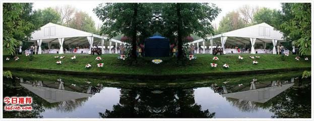 舞臺鋼構(gòu)搭建設(shè)計圖紙圖片高清（舞臺鋼構(gòu)搭建設(shè)計圖紙） 鋼結(jié)構(gòu)網(wǎng)架設(shè)計 第4張