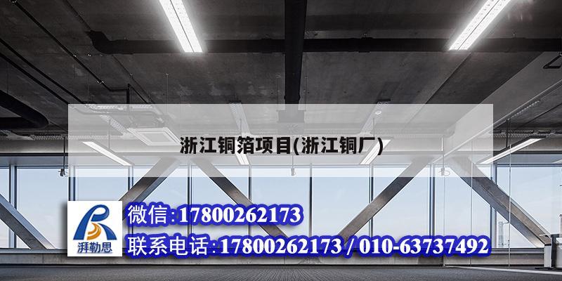 浙江銅箔項(xiàng)目(浙江銅廠)