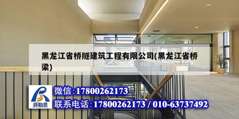 黑龍江省橋隧建筑工程有限公司(黑龍江省橋梁) 鋼結(jié)構(gòu)跳臺施工 黑龍江省橋隧建筑工程有限公司(黑龍江省橋梁) 鋼結(jié)構(gòu)跳臺施工