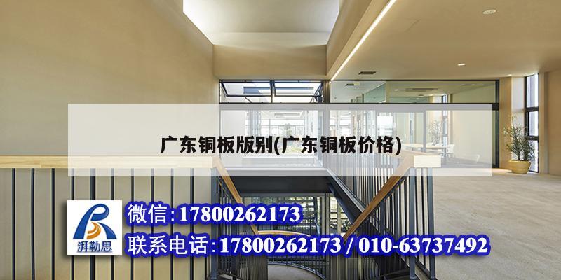 廣東銅板版別(廣東銅板價(jià)格) 鋼結(jié)構(gòu)跳臺(tái)設(shè)計(jì) 廣東銅板版別(廣東銅板價(jià)格) 鋼結(jié)構(gòu)跳臺(tái)設(shè)計(jì)